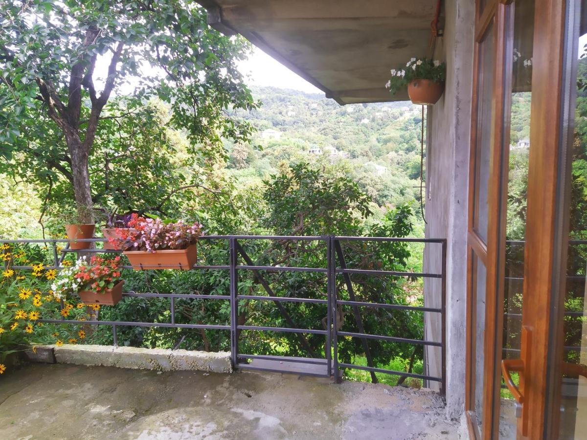 Villa 53 Jincharadze Street Makhinjauri, Batumi Exterior foto