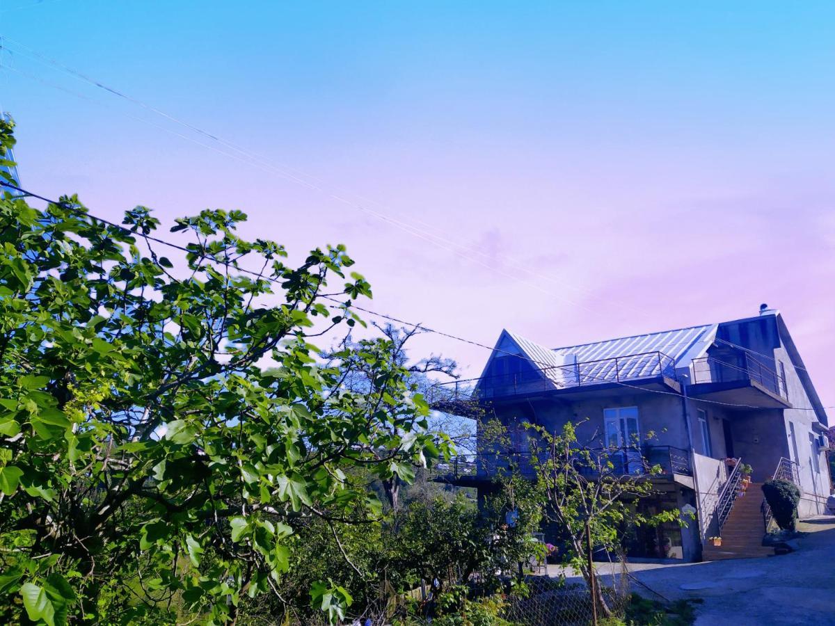 Villa 53 Jincharadze Street Makhinjauri, Batumi Exterior foto